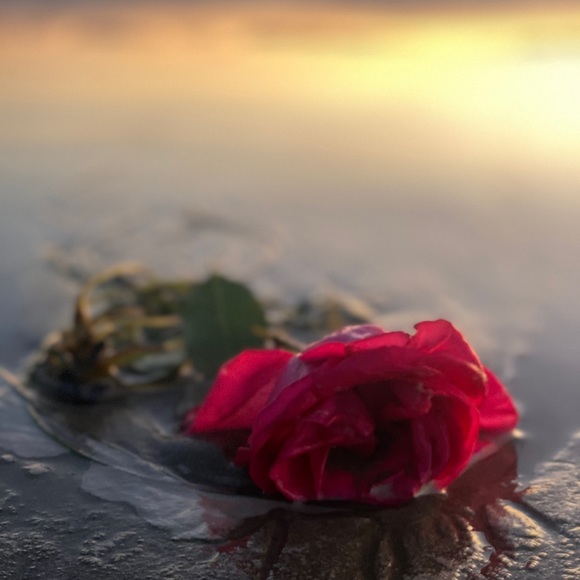 Meet your Posher, AMI - Picture 11 of 15